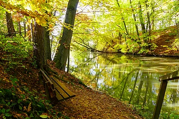 Karlsgraben im Herbst