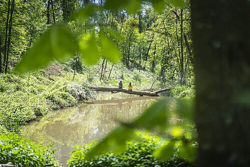 Zwei Frauen sitzen rücklings auf einem Baum der quer über den Ausläufer des Karlsgraben liegt.graben